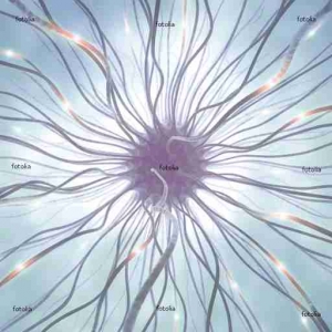 Nerve Cell Pulse